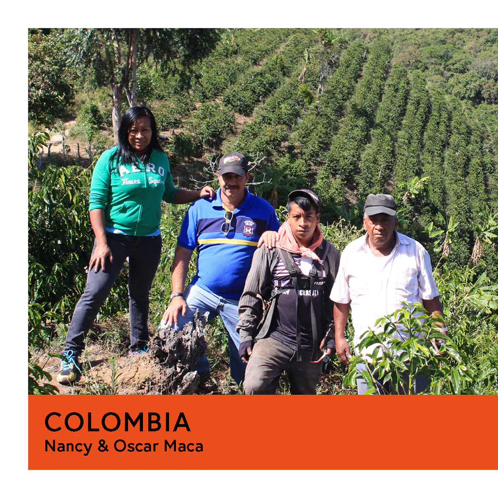 Colombia | Nancy & Oscar Maca | Gesha | Natural | Filter | 100g - Image 2