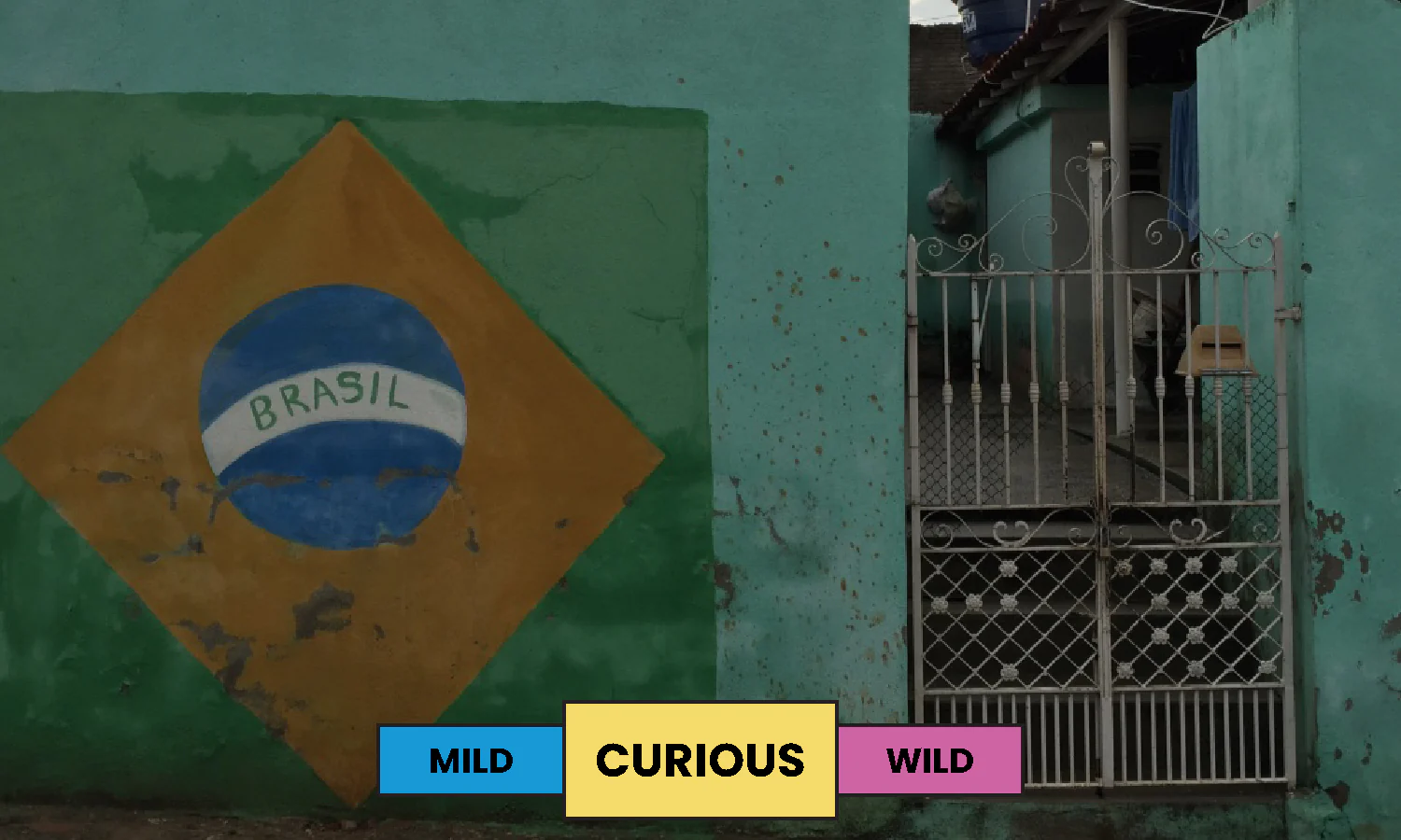 Brazil | JR Farm | Yellow Catuai | Pulped Natural | Espresso | 250g - Image 3