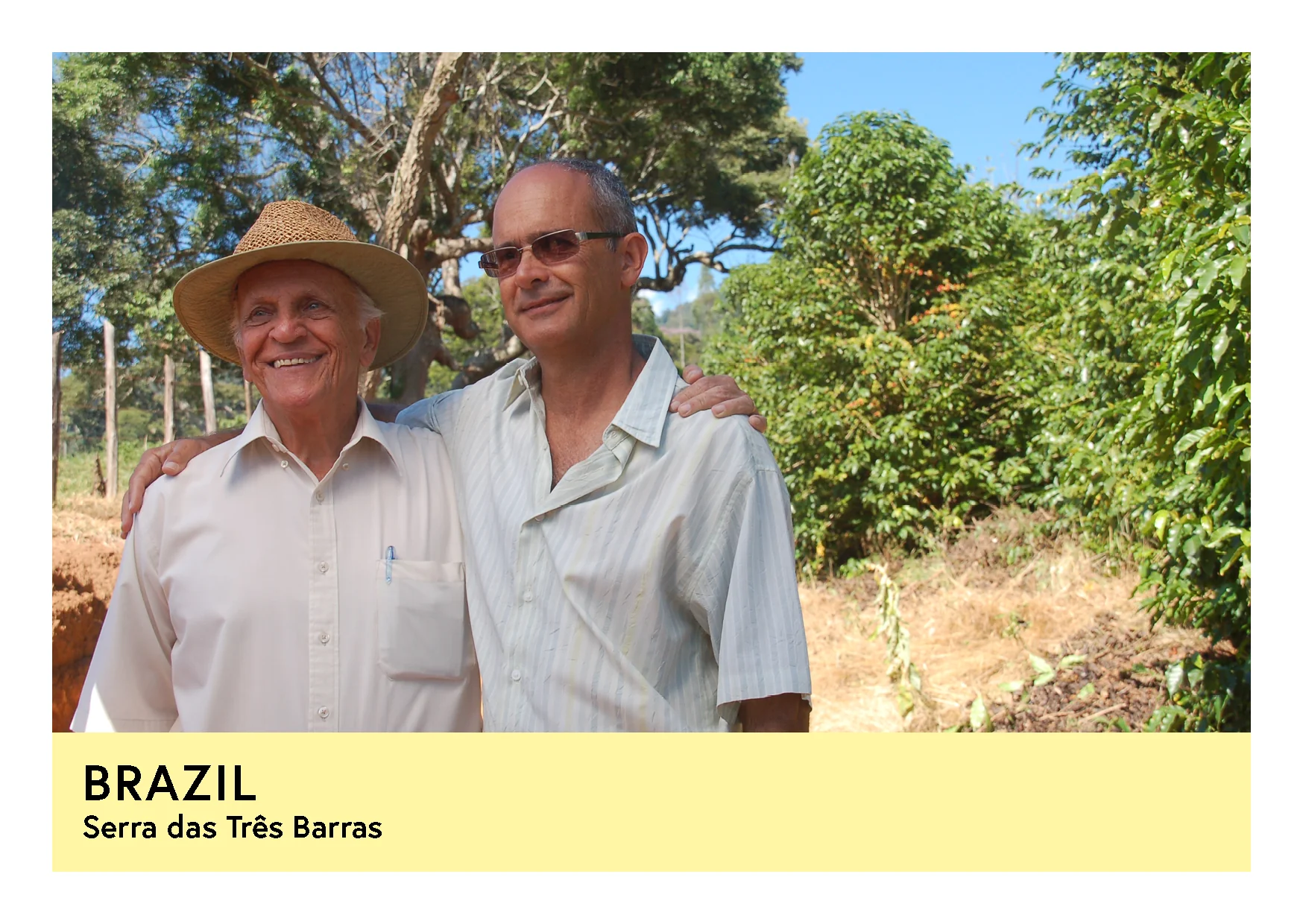 Brazil | Serra das Três Barras  | Yellow Catuai | Natural | Espresso | 250g - Image 2
