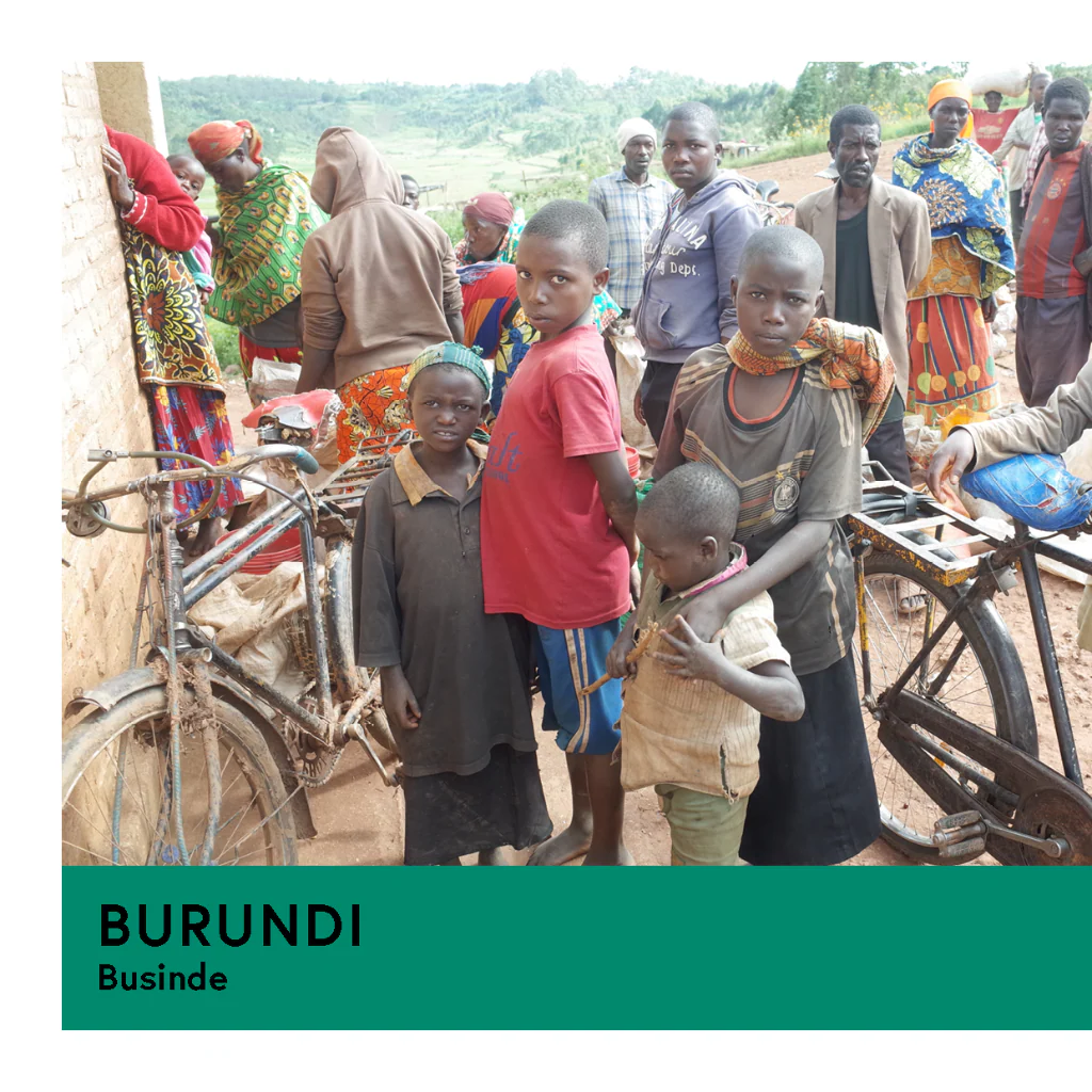 Burundi | Businde | Red Bourbon | Natural | Filter | 250g - Image 2