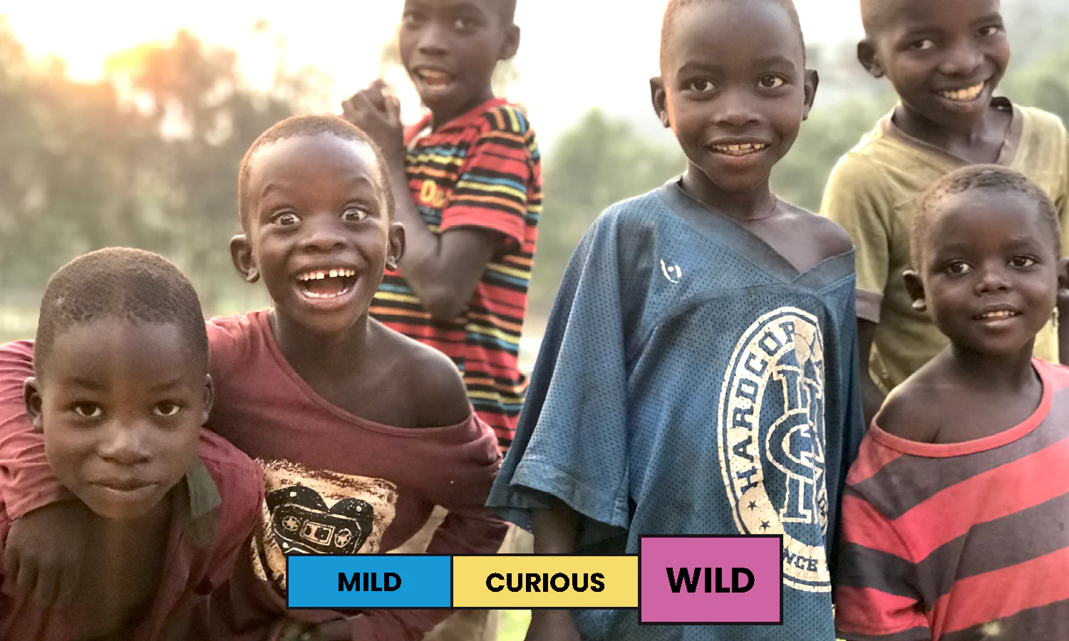 Burundi | Kirasa | Red Bourbon | Natural | Filter | 250g - Image 3
