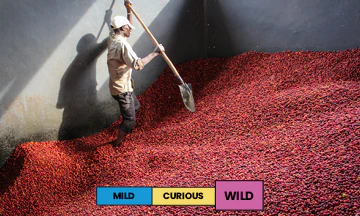 Burundi | Nemba | Red Bourbon | Natural | Filter | 250g - Image 2