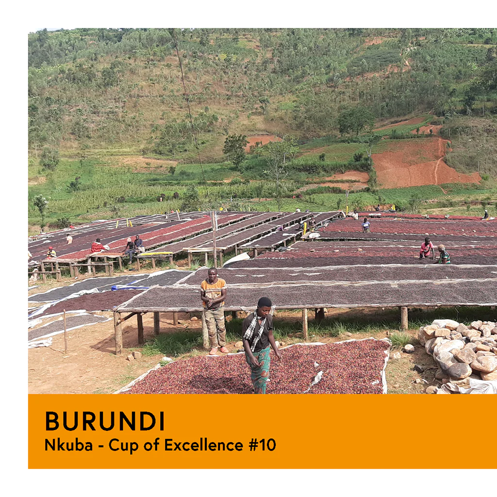 Burundi | Nkuba COE #10  | Red Bourbon | Natural | Filter | 200g - Image 2