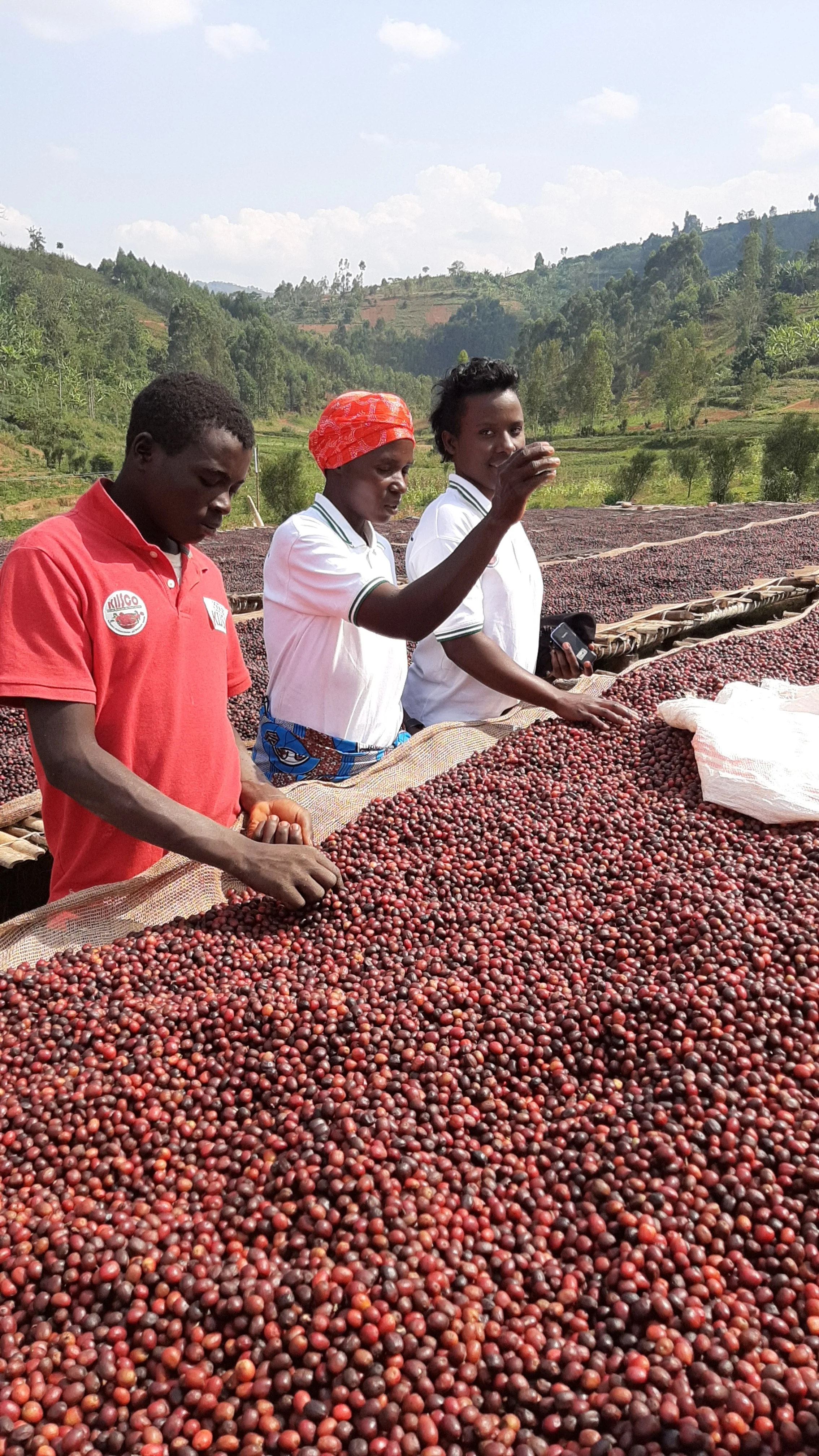 Burundi | Nkuba COE #10  | Red Bourbon | Natural | Filter | 200g - Image 3