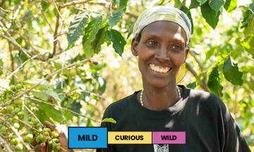Burundi | Nyagashiha | Red Bourbon | Washed | Filter | 250g - Image 2
