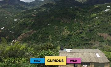Colombia | El Naranjo | Colombia | Honey | Filter | 250g - Image 2