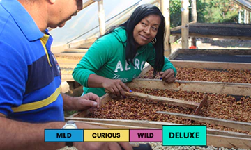 Colombia | El Zafiro | Wush Wush | Anaerobic Washed | Filter | 100g - Image 2