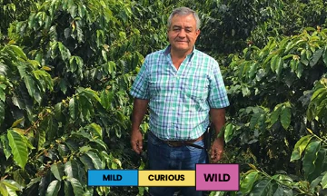 Colombia | Buenos Aires | Castillo | Natural Decaf | Filter | 250g - Image 2