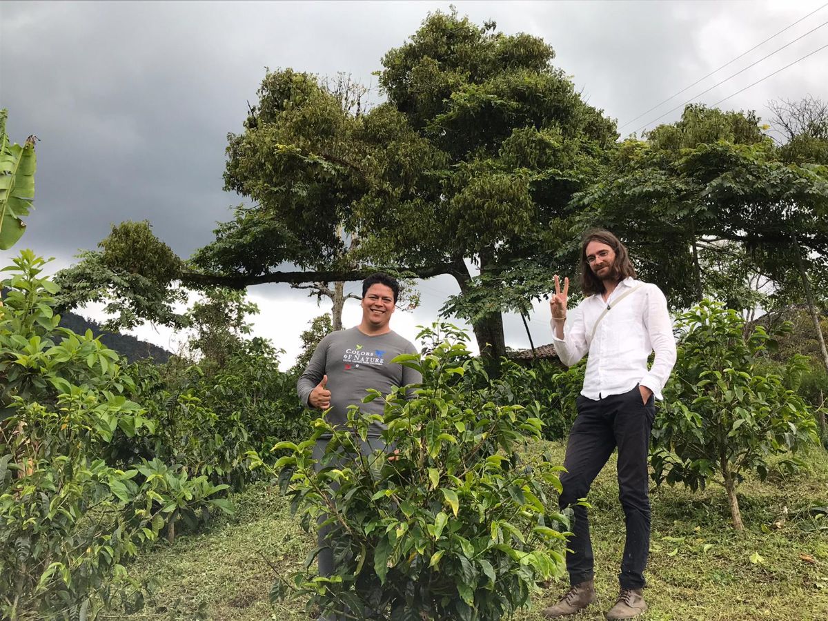 Colombia | La Cereza | Wush Wush | Champagne Natural | Filter | 100g - Image 3