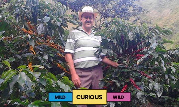 Colombia | La Cuevita | Caturra & Colombia | Washed | Filter | 250g - Image 2