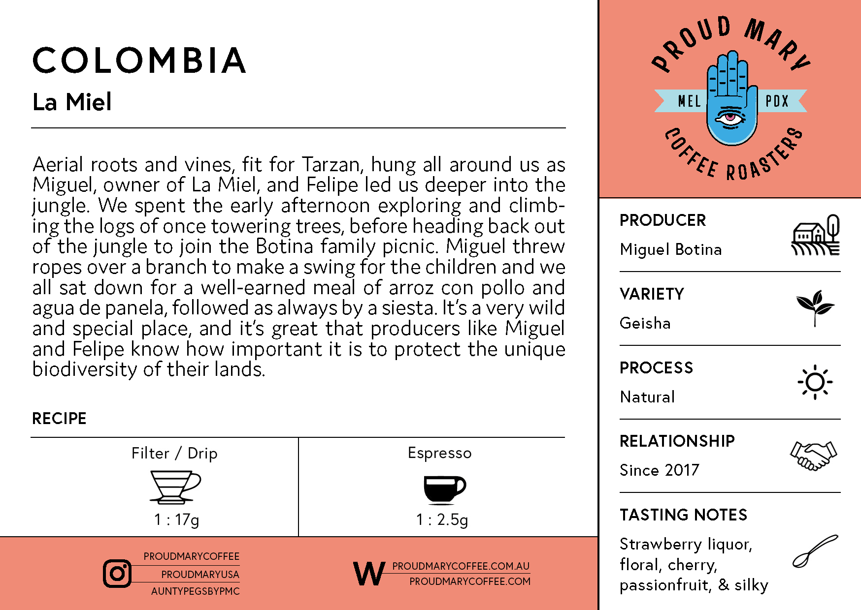 Colombia | La Miel | Geisha | Natural | Filter | 100g - Image 4