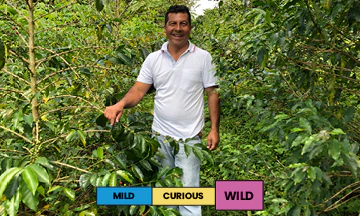 Colombia | La Miel | Pink Bourbon | Anaerobic Natural | Filter | 200g - Image 2