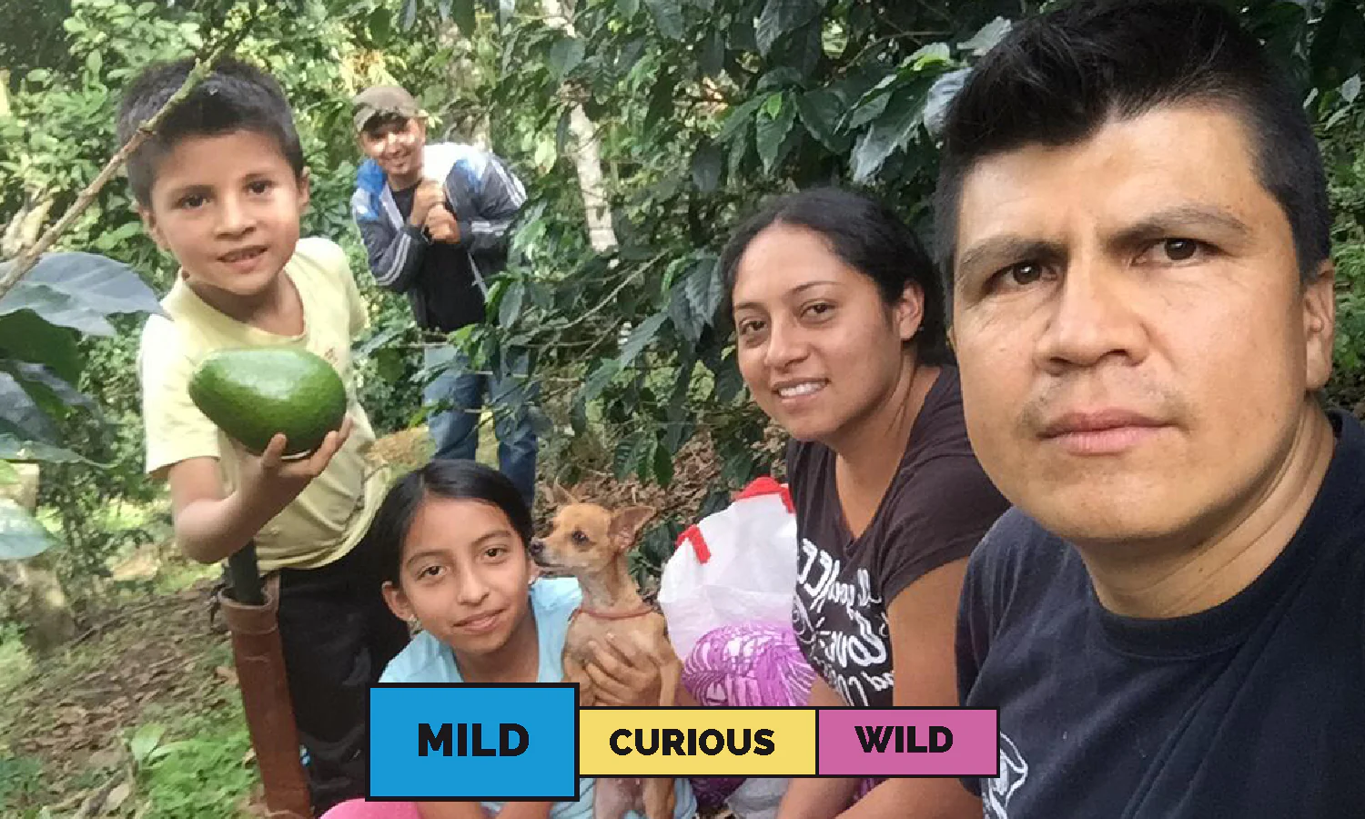 Colombia | Los Lagos | Caturra | Washed | Filter | 250g - Image 3