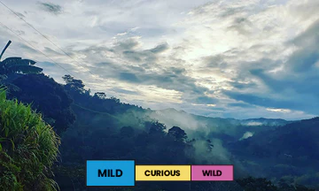 Colombia | Wbeimar Lasso | Caturra | Washed | Filter | 250g - Image 2