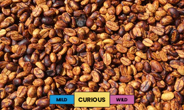 Costa Rica | Alto de Abra | Java | Red Honey | Filter | 200g - Image 2