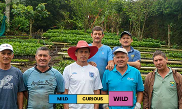 Costa Rica | Finca Matilde | San Roque | Natural | Filter | 250g - Image 2