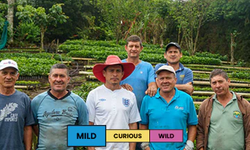 Costa Rica | Finca Toño | Sarchimor | Yellow Honey - Image 2