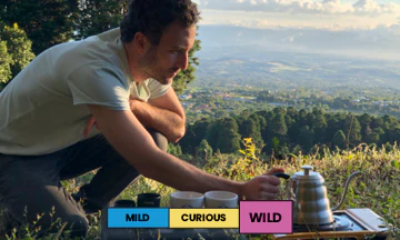 Costa Rica | Hacienda Colima | Caturra | Natural | Filter | 250g - Image 2