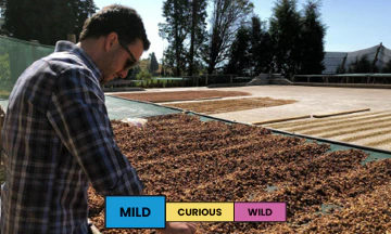 Costa Rica | Hacienda La Union | Villa Sarchi | Red Honey - Image 2