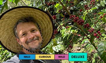 Ecuador | Finca Soledad | Typica | Tyoxy Washed - Image 2