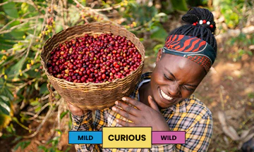 Ethiopia | Chelbesa | Heirloom | Washed - Image 2