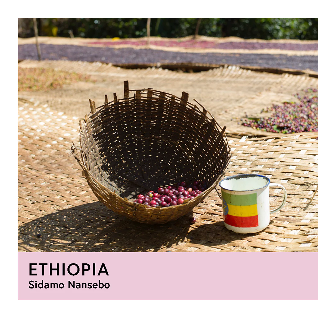 Ethiopia | Sidamo Nansebo Ato Girma | Heirloom | Natural | Filter | 250g - Image 2