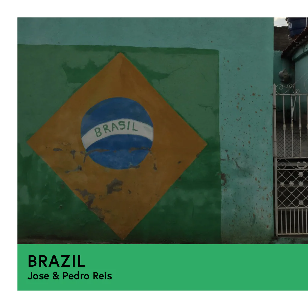 Brazil | Jose & Pedro Reis | Yellow Bourbon | Pulped Natural | Filter | 250g - Image 2
