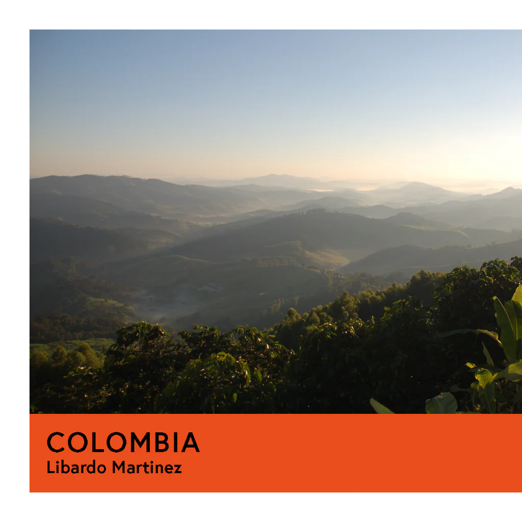 Colombia | Libardo Martinez | Colombia & Caturra | Natural | Filter | 200g - Image 2