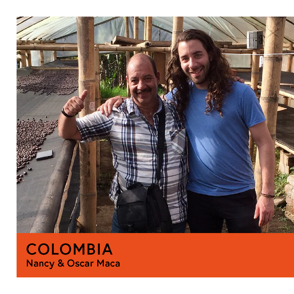 Colombia | Nancy & Oscar Maca | Castillo | Natural | Filter | 200g - Image 2