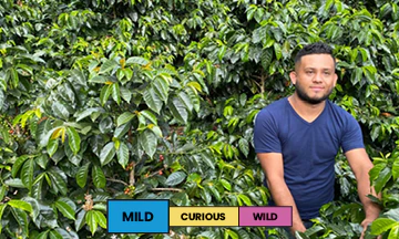 Guatemala | El Paraíso | Bourbon & Caturra | Washed | Filter | 250g - Image 2