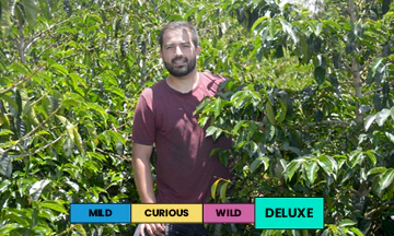 Honduras | Benjamin Paz | Geisha | Triple Anaerobic Washed | Filter | 100g - Image 2