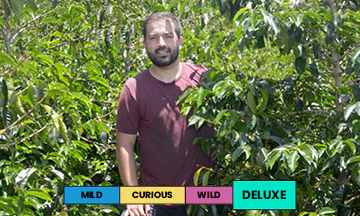 Honduras | Benjamin Paz | Geisha | Triple Anaerobic Washed | Filter | 100g - Image 2
