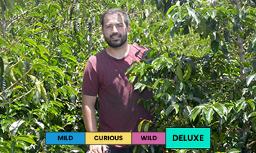 Honduras | Benjamin Paz | Geisha | Anaerobic Washed | 100g - Image 2