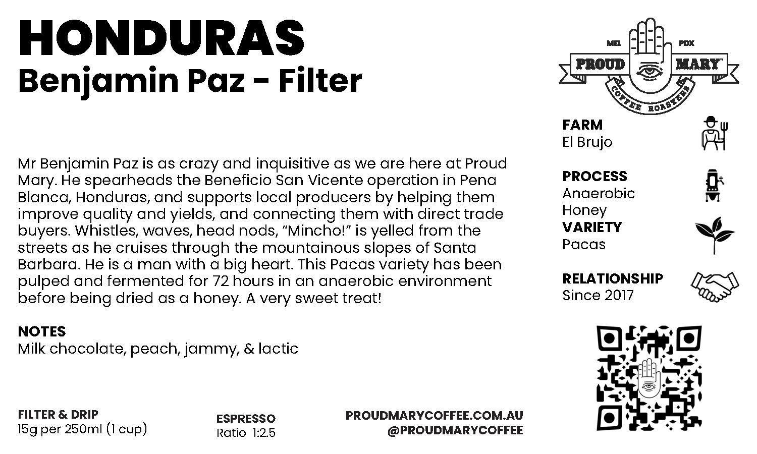 Honduras | Benjamin Paz | Pacas | Anaerobic Honey | Filter | 250g - Image 4