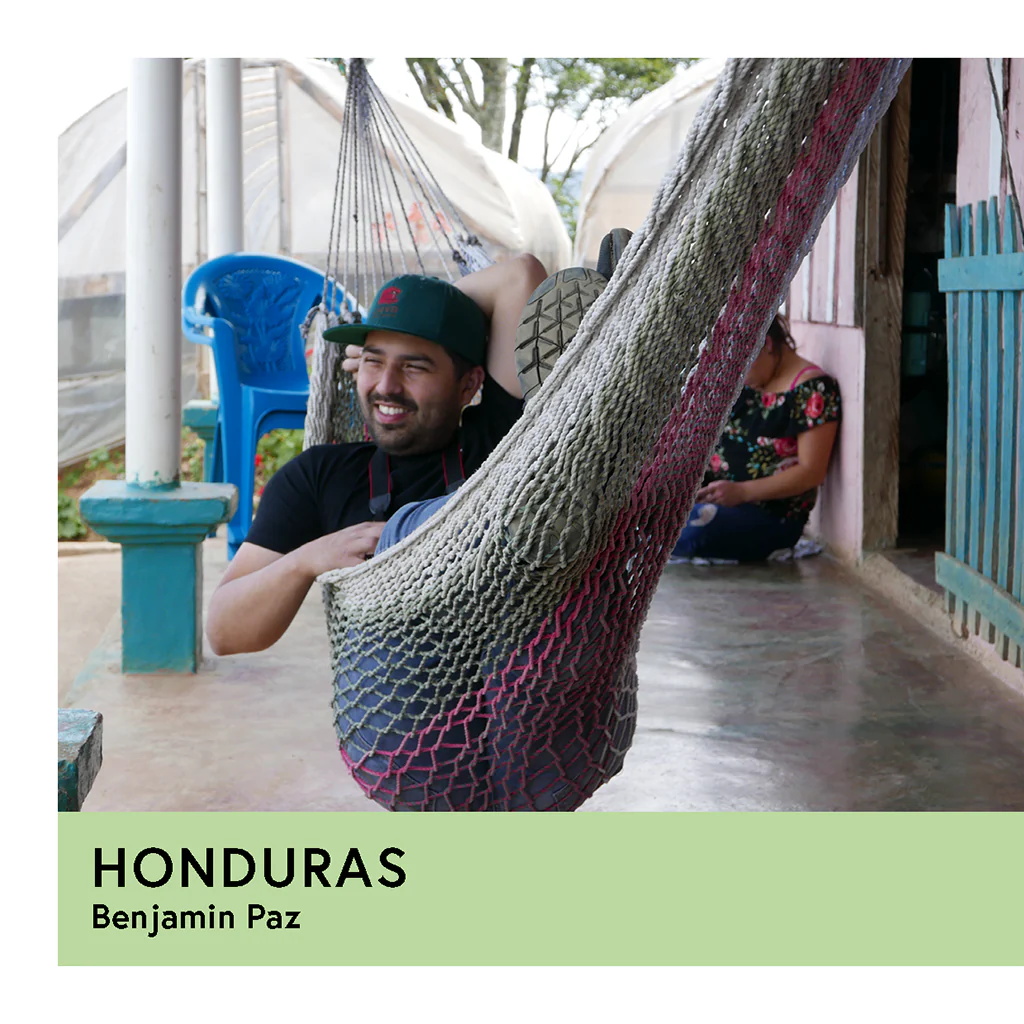 Honduras | Benjamin Paz | Red Catuai | Anaerobic Honey 72hr | Filter | 250g - Image 2
