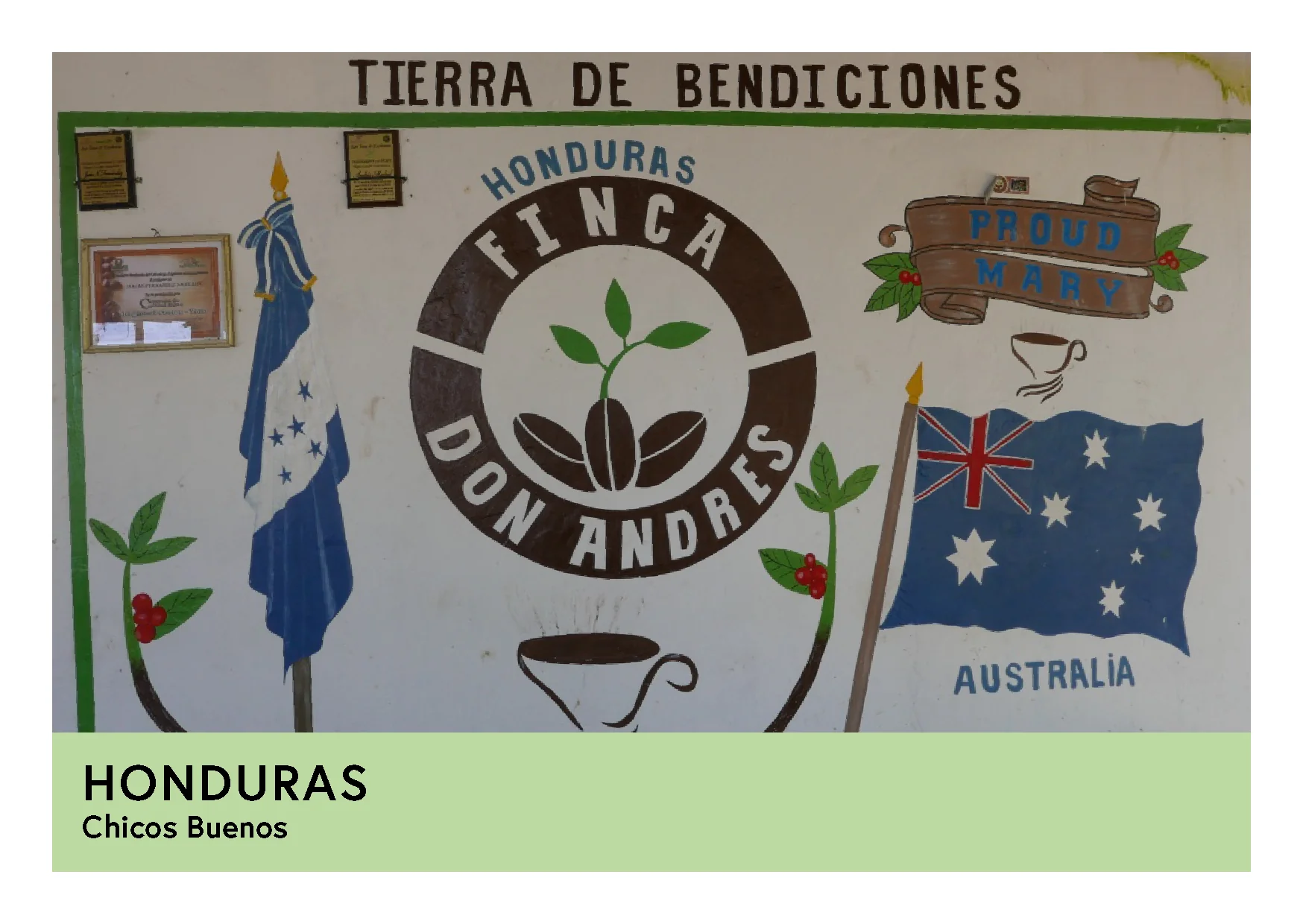 Honduras | Chicos Buenos | Pacas & Catuai | Washed | Filter | 250g - Image 3
