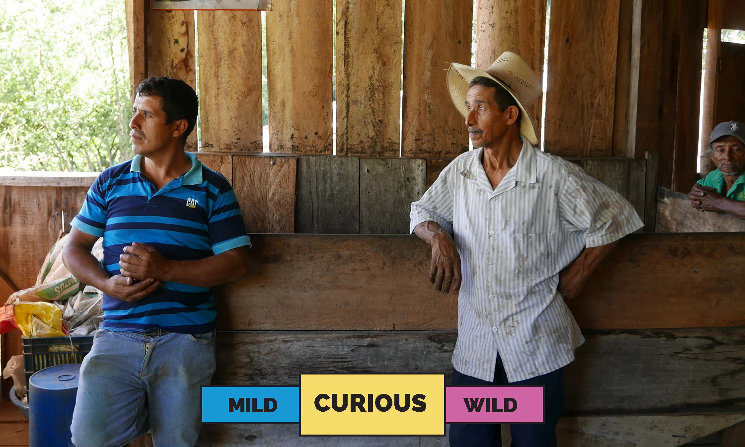 Honduras | Javier Fernandez | Parainema | Anaerobic Washed | Filter | 200g - Image 3