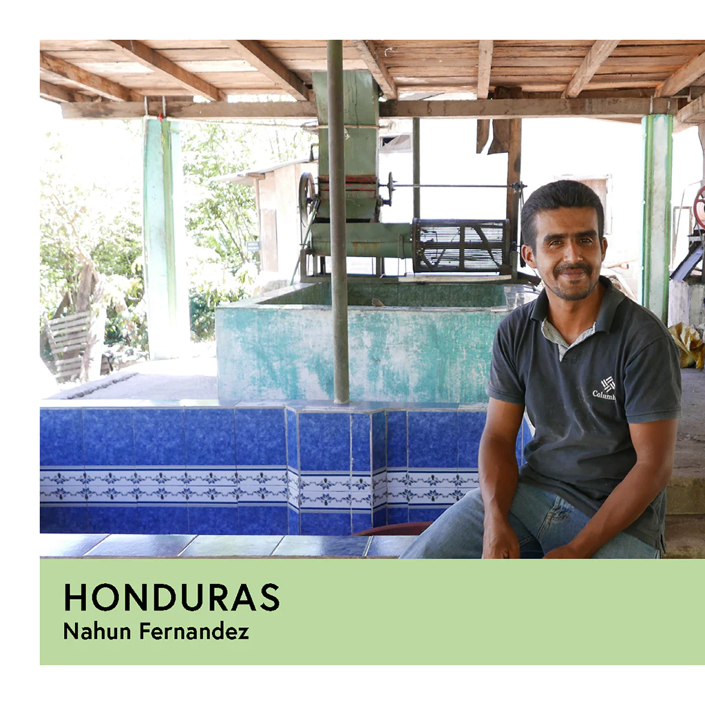 Honduras | Nahun Fernandez | Bourbon | Washed | Filter | 250g - Image 2