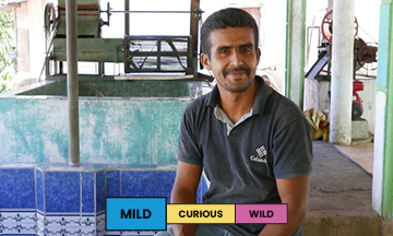 Honduras | Nahun Fernandez | Pacas | Washed - Image 2