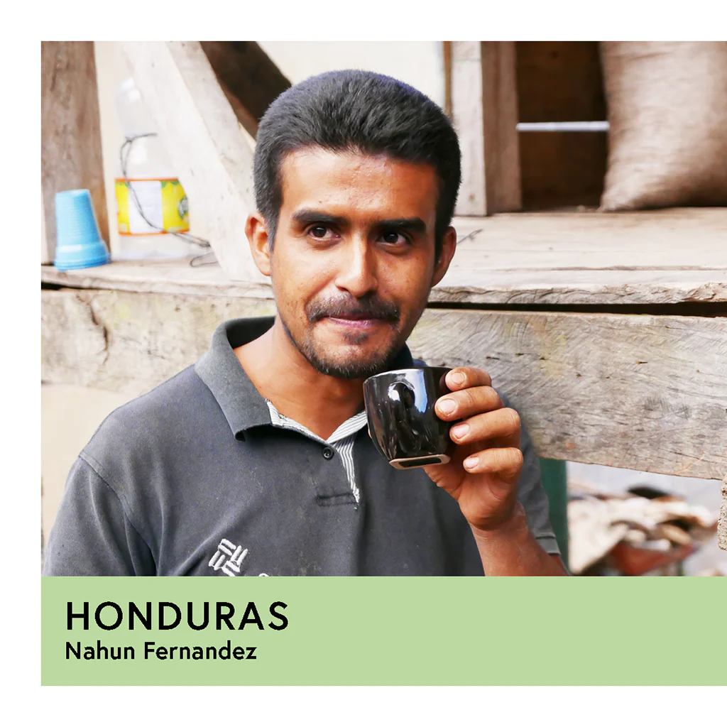 Honduras | Nahun Fernandez | Yellow Catuai | Anaerobic Honey 96hr | Filter | 250g - Image 2