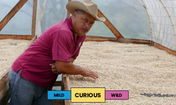 Honduras | Ovidio Gomez | Catuai | Honey | Espresso | 250g - Image 2