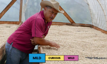 Honduras | Ovidio Gomez | Catuai | Washed | Filter | 250g - Image 2