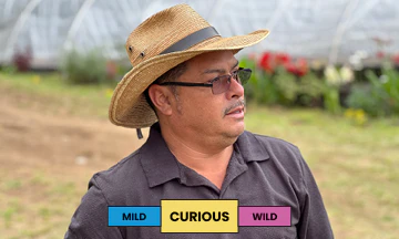 Honduras | Ovidio Gomez - Ingris | Parainema | Honey - Image 2
