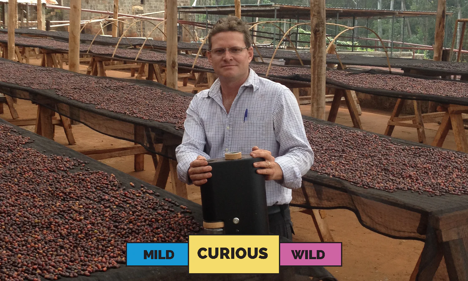 Kenya | Chania Estate AA  | Mixed | Washed | Filter | 250g - Image 3