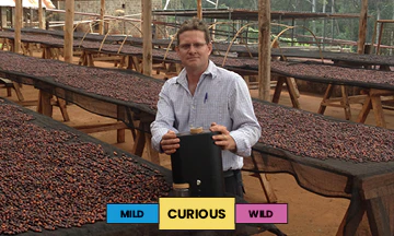Kenya | Chania Estate | SL-28 & SL-34 | Natural | Filter | 250g - Image 2