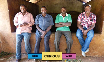Kenya | Fram Farm | Batian & Ruiru 11 | Washed | Espresso | 250g - Image 2