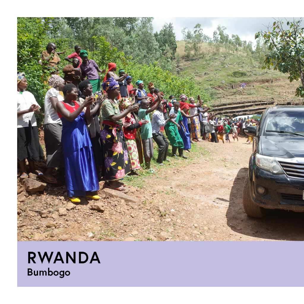 Rwanda | Bumbogo | Red Bourbon | Honey | Filter | 250g - Image 2